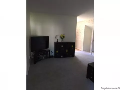 2905 Arlington Dr, Springfield, IL 62704 photo 4