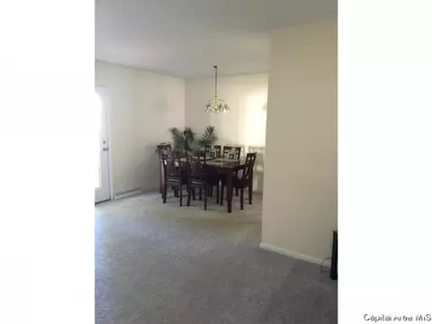 2905 Arlington Dr, Springfield, IL 62704 photo 5