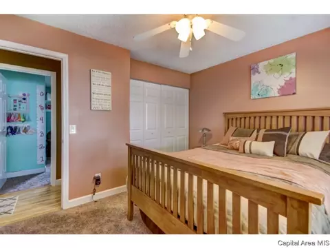 2925 E Griffiths, Springfield, IL 62702 photo 10