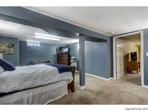 2925 E Griffiths, Springfield, IL 62702 photo 18