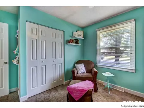 2925 E Griffiths, Springfield, IL 62702 photo 12