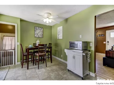 2925 E Griffiths, Springfield, IL 62702 photo 5