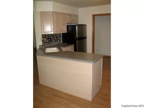 8025 W Outer Rd, Sherman, IL 62684 photo 4