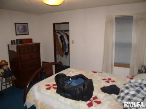 420 E Willard, Wataga, IL 61488 photo 13