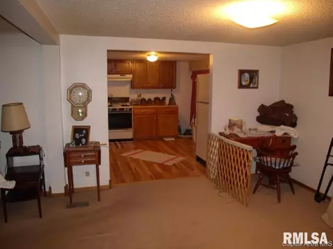 420 E Willard, Wataga, IL 61488 photo 12