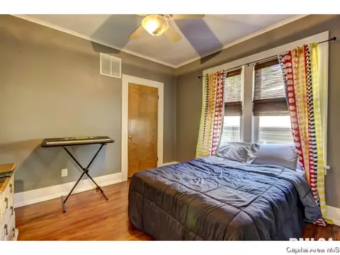 1901 S Douglas, Springfield, IL 62704 photo 22