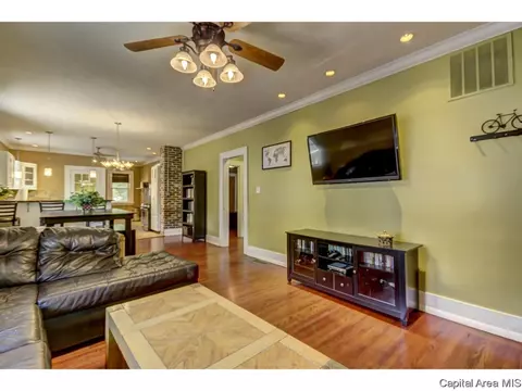 1901 S Douglas, Springfield, IL 62704 photo 10
