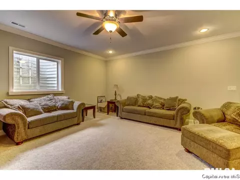 2713 Newcastle Ct, Springfield, IL 62712 photo 27