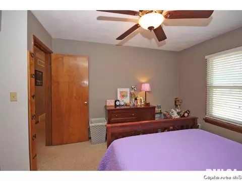 3808 Eagle Claw, Springfield, IL 62707 photo 15