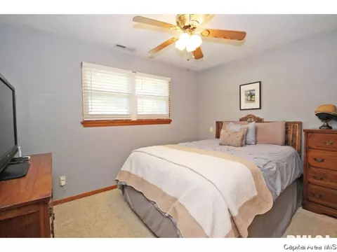 3808 Eagle Claw, Springfield, IL 62707 photo 16