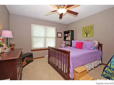 3808 Eagle Claw, Springfield, IL 62707 photo 14