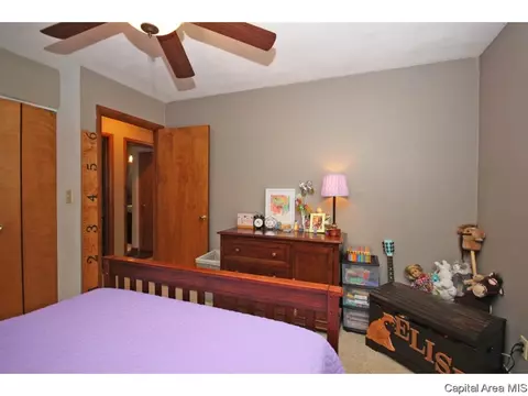 3808 Eagle Claw, Springfield, IL 62707 photo 3