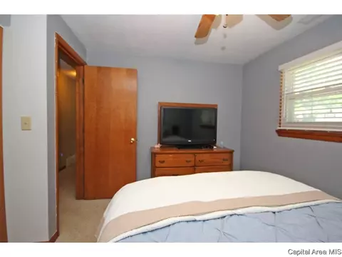 3808 Eagle Claw, Springfield, IL 62707 photo 17