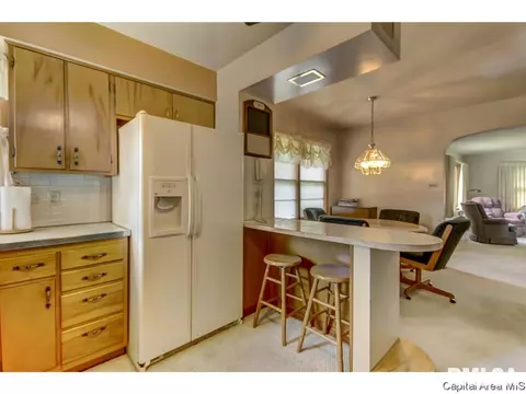 19 Sunnyside Dr, Springfield, IL 62702 photo 22