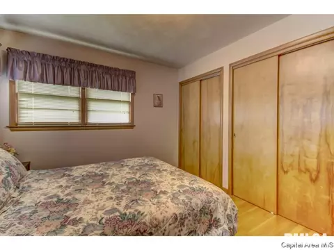 19 Sunnyside Dr, Springfield, IL 62702 photo 12