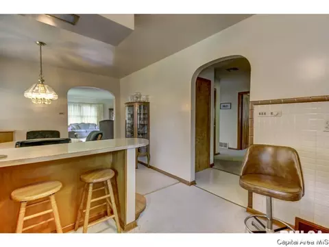 19 Sunnyside Dr, Springfield, IL 62702 photo 23