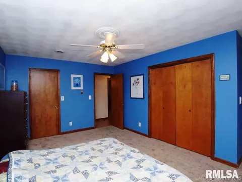 2225 Trowbridge Rd, Springfield, IL 62703 photo 19