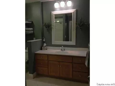 3100 Rutgers Dr, Springfield, IL 62704 photo 34