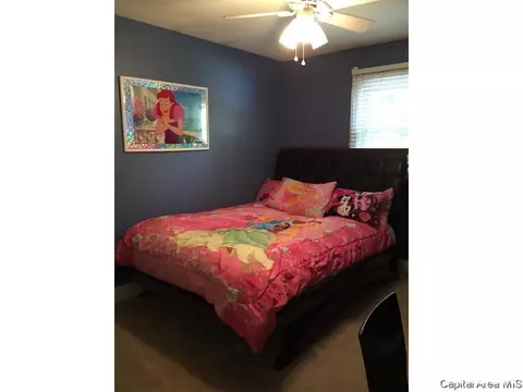 3100 Rutgers Dr, Springfield, IL 62704 photo 33