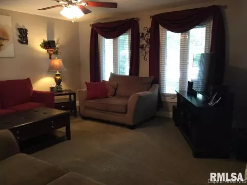 3100 Rutgers Dr, Springfield, IL 62704 photo 19