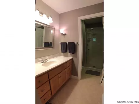 3100 Rutgers Dr, Springfield, IL 62704 photo 31
