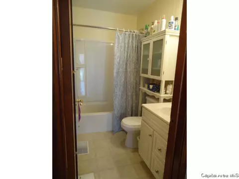 3025 Louise Ln, Springfield, IL 62702 photo 18