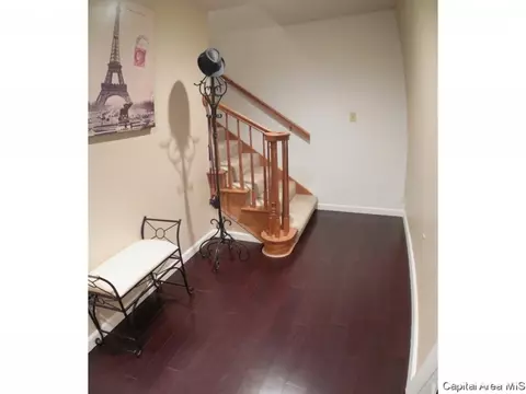1609 Clearview Dr, Springfield, IL 62704 photo 13
