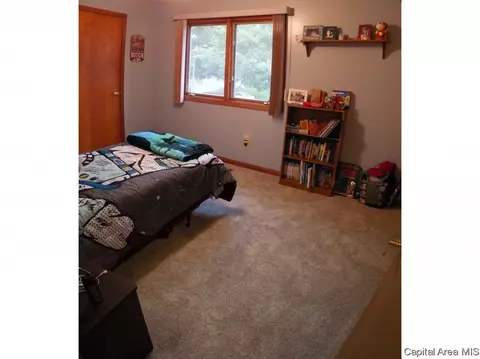 1609 Clearview Dr, Springfield, IL 62704 photo 17