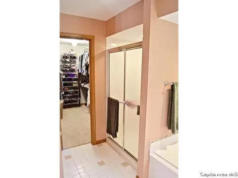 4023 Springer, Springfield, IL 62711 photo 17