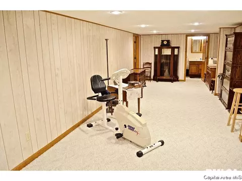 4023 Springer, Springfield, IL 62711 photo 22