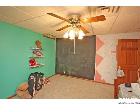 63 Buckhorn Dr, Springfield, IL 62707 photo 25