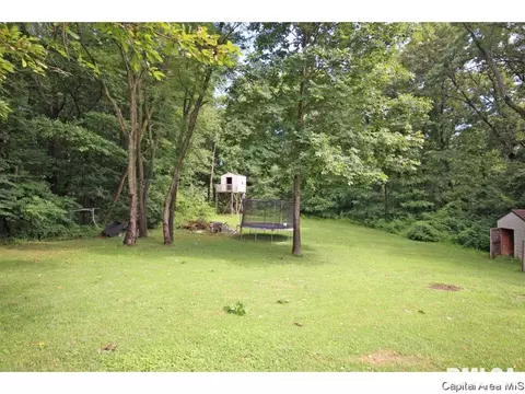 63 Buckhorn Dr, Springfield, IL 62707 photo 35