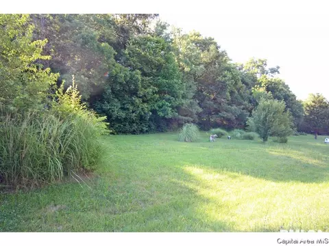 59 State Highway 111, Waverly, IL 62692 photo 20