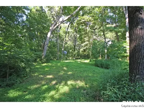 59 State Highway 111, Waverly, IL 62692 photo 25