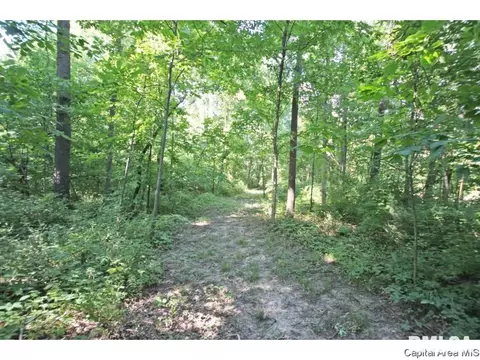 59 State Highway 111, Waverly, IL 62692 photo 21
