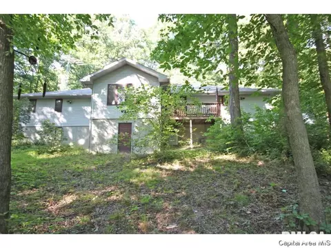 59 State Highway 111, Waverly, IL 62692 photo 24