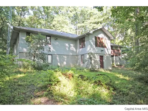 59 State Highway 111, Waverly, IL 62692 photo 27