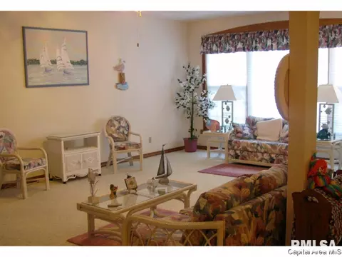 2117 Timberview Dr, Springfield, IL 62702 photo 13