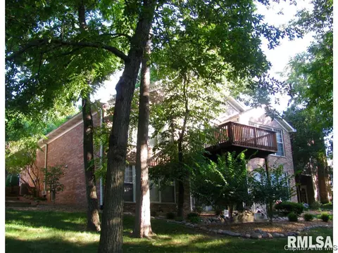 2117 Timberview Dr, Springfield, IL 62702 photo 23