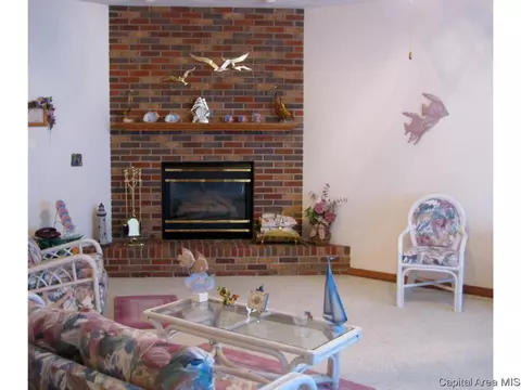 2117 Timberview Dr, Springfield, IL 62702 photo 14