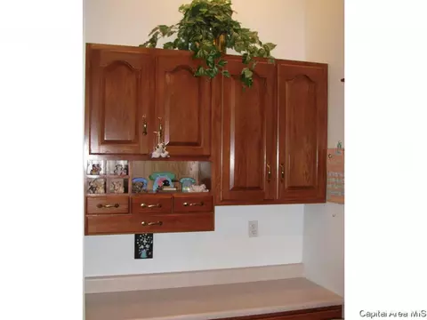 2117 Timberview Dr, Springfield, IL 62702 photo 7