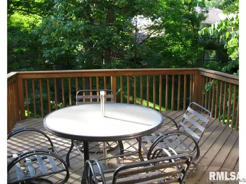 2117 Timberview Dr, Springfield, IL 62702 photo 20
