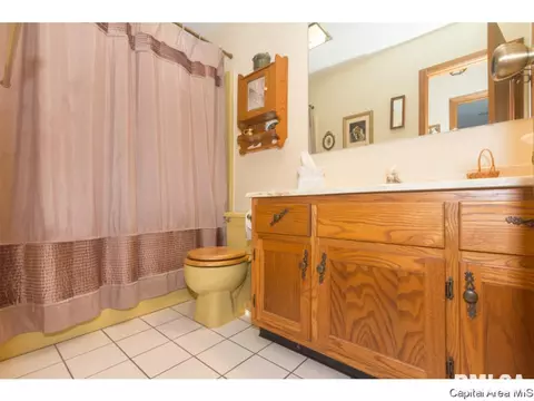 4 S Red Oak Ln, Springfield, IL 62712 photo 22
