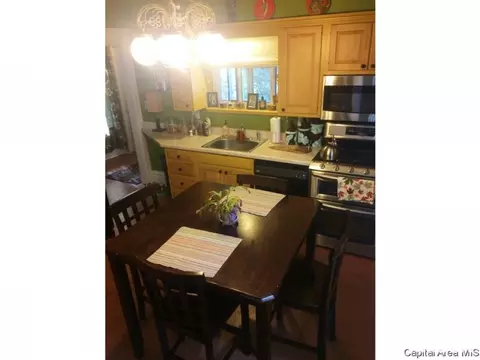 845 S Douglas Ave, Springfield, IL 62704 photo 16