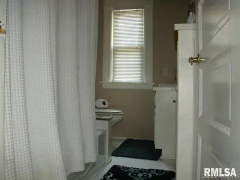 845 S Douglas Ave, Springfield, IL 62704 photo 29
