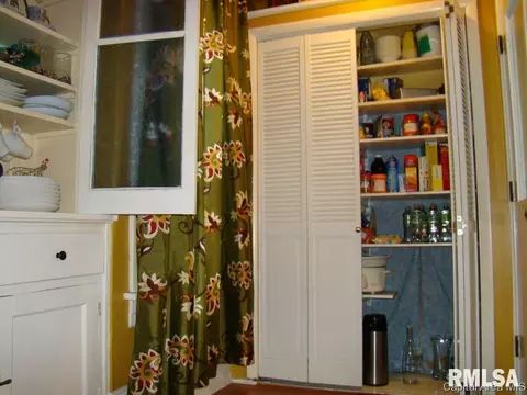 845 S Douglas Ave, Springfield, IL 62704 photo 22