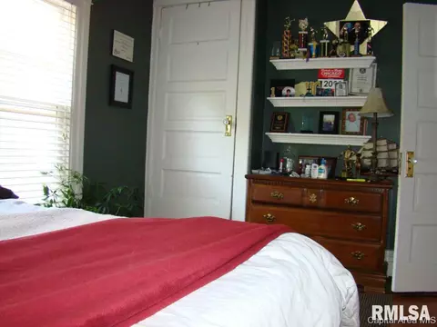 845 S Douglas Ave, Springfield, IL 62704 photo 32