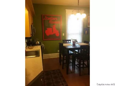 845 S Douglas Ave, Springfield, IL 62704 photo 17