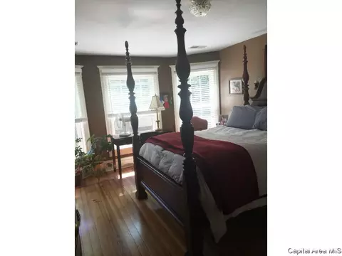 845 S Douglas Ave, Springfield, IL 62704 photo 24