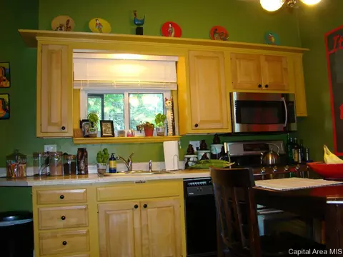 845 S Douglas Ave, Springfield, IL 62704 photo 18